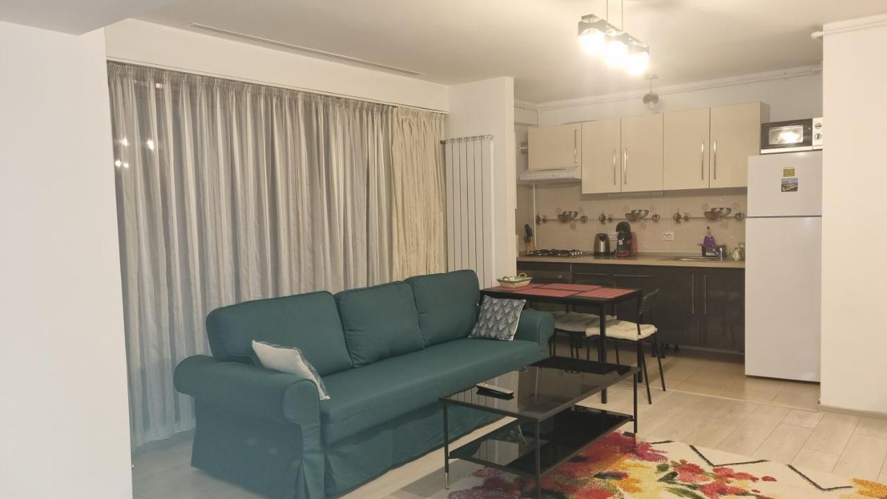 Tibiscum Apartament, Bucuresti المظهر الخارجي الصورة