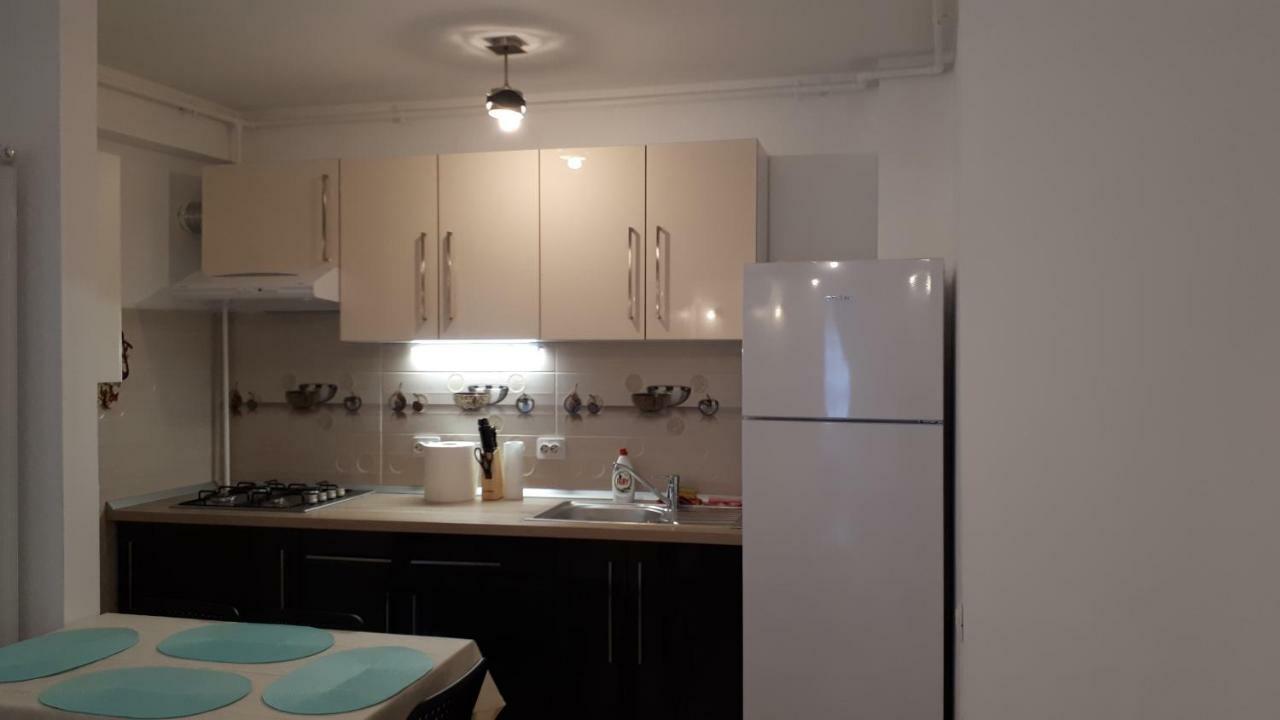 Tibiscum Apartament, Bucuresti المظهر الخارجي الصورة
